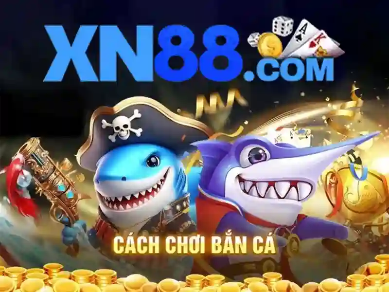 Nền tảng và chức năng của Xn88
