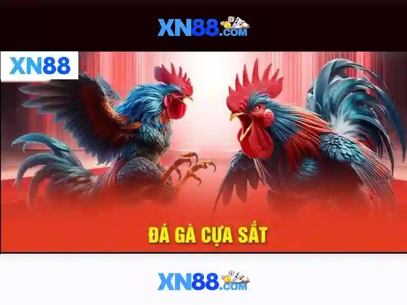xn88 - Khám phá nền tảng cá cược trực tuyến