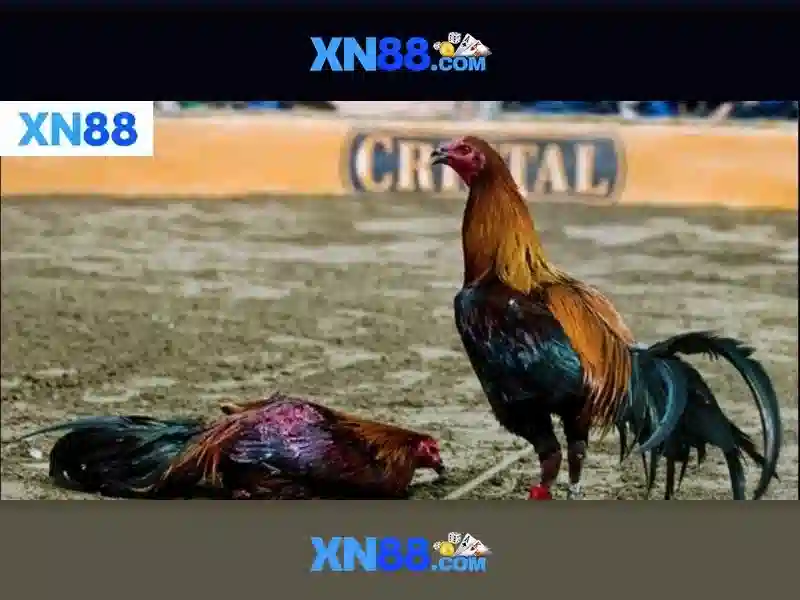 Nguồn gốc và mục tiêu Nguồn gốc và mục tiêu