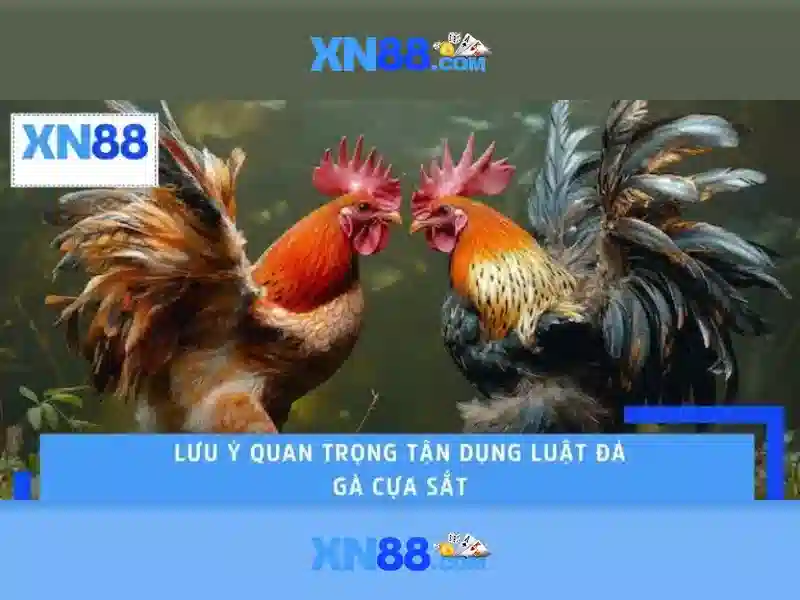 Hình minh họa liên hệ khách hàng với xn88