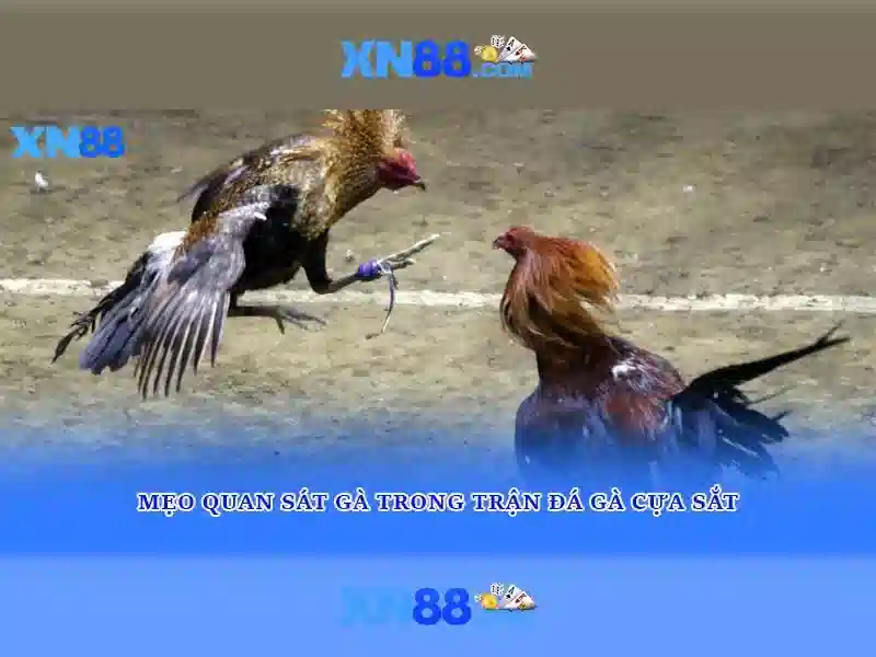 Giới thiệu về xn88 Giới thiệu về xn88