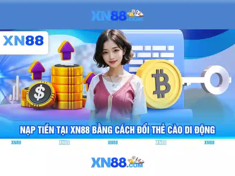 Lĩnh vực hoạt động của xn88 Lĩnh vực hoạt động của xn88