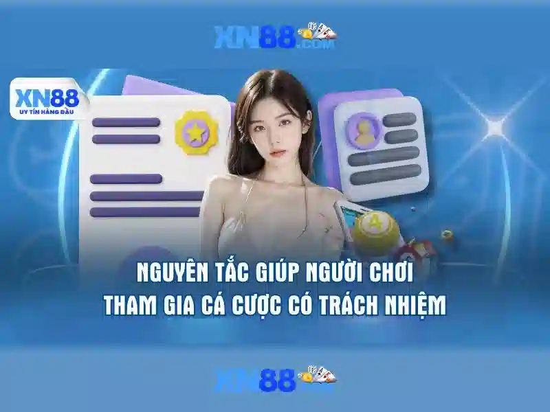 Cam kết chất lượng và hỗ trợ người dùng