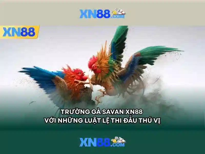 Tính năng nổi bật Tính năng nổi bật