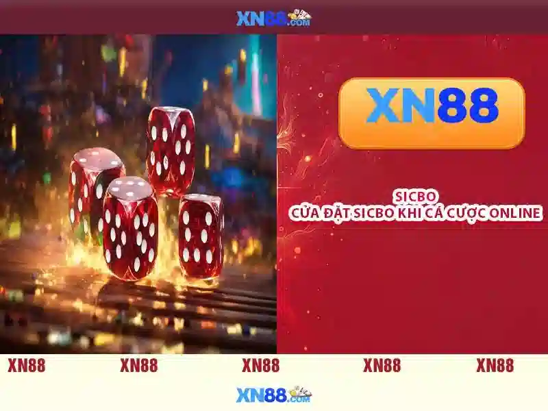 Giới thiệu về xn88