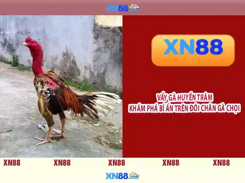 Đăng ký và bảo mật