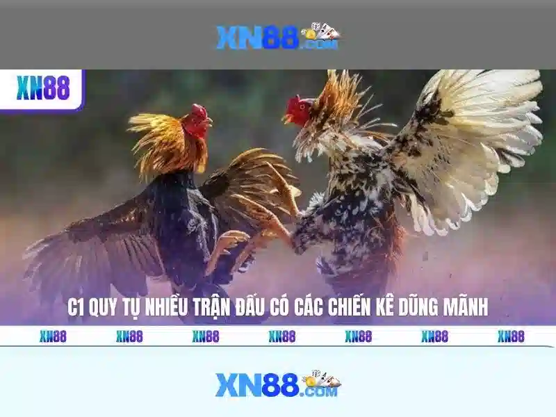 Nền tảng và độ tin cậy