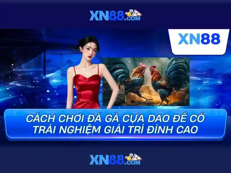Xn88: một cái nhìn tổng quan về nền tảng trực tuyến