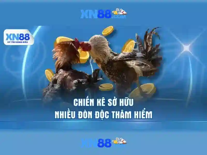 XN88 và hành trình của một nền tảng công nghệ XN88 và hành trình của một nền tảng công nghệ