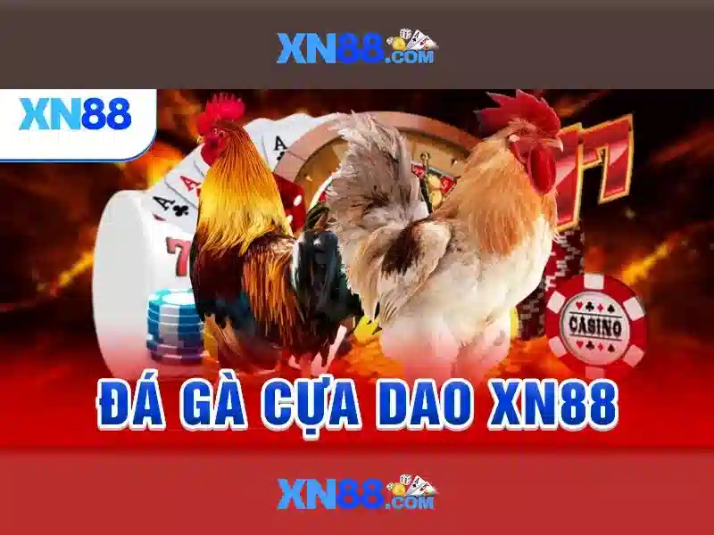 Xn88 là gì?