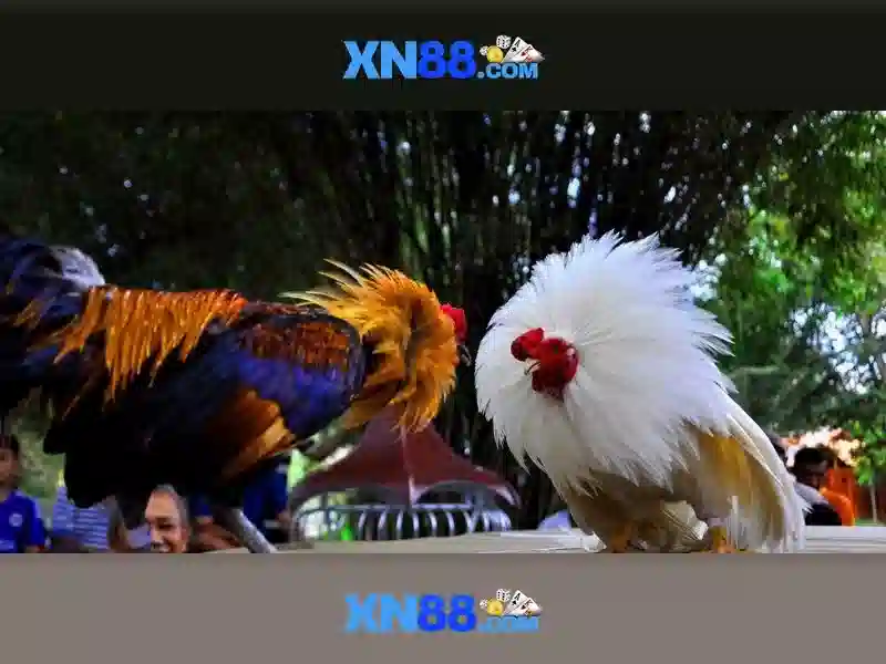 Nguồn gốc và sứ mệnh của xn88