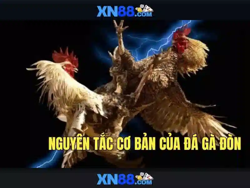Mẹo chơi bắn cá 3 cây dễ ăn tiền nhà cái
