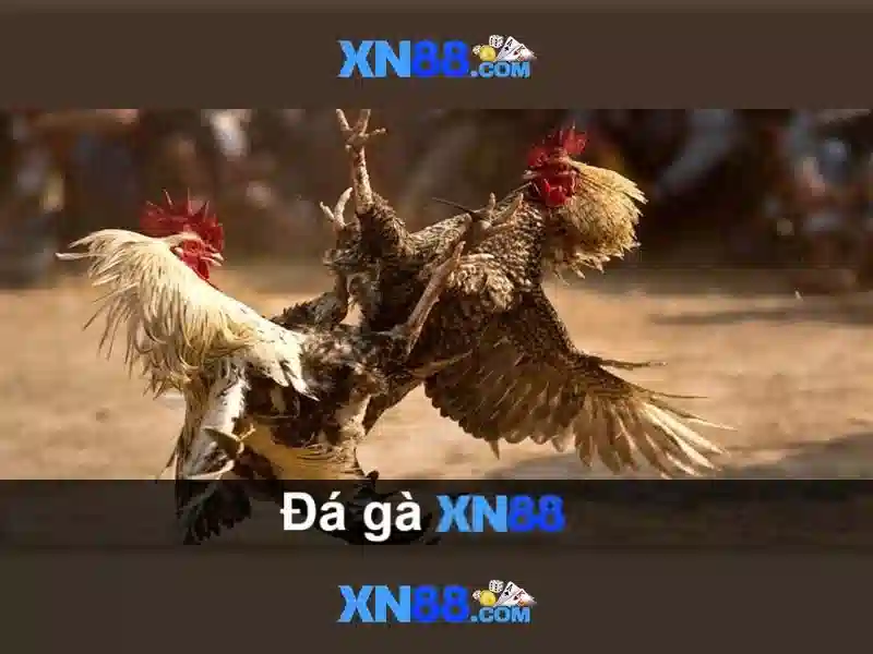Bảo mật và sự tin cậy Bảo mật và sự tin cậy