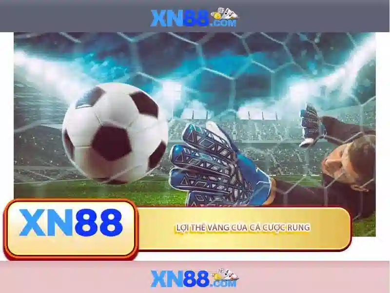  Trải nghiệm người dùng và thanh toán 