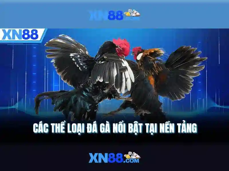 An toàn và thanh toán