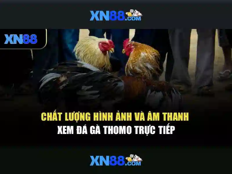 Trải nghiệm người dùng và giao diện Trải nghiệm người dùng và giao diện