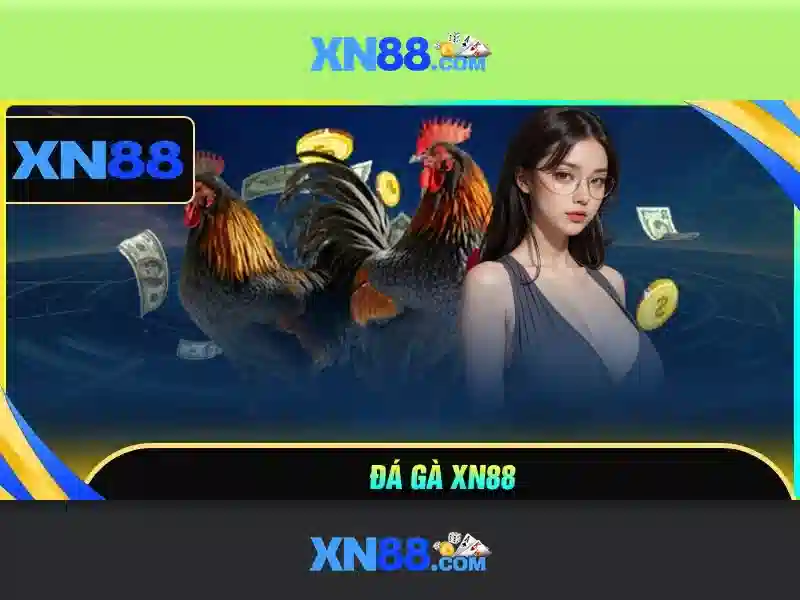 xn88 là gì? Tổng quan và đánh giá