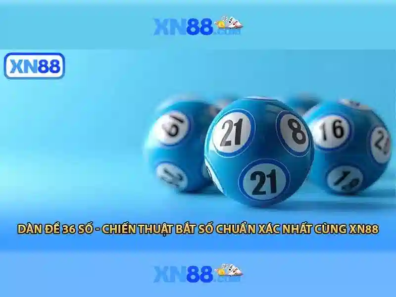 An toàn và quản lý rủi ro