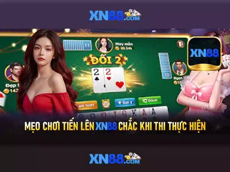 Hỗ trợ người dùng và tương tác xã hội