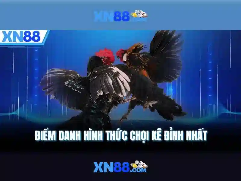 Giới thiệu về xn88 Giới thiệu về xn88