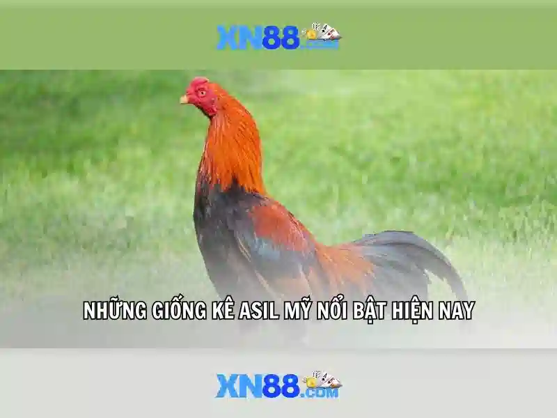 xn88: Tổng quan, tiện ích và lưu ý an toàn