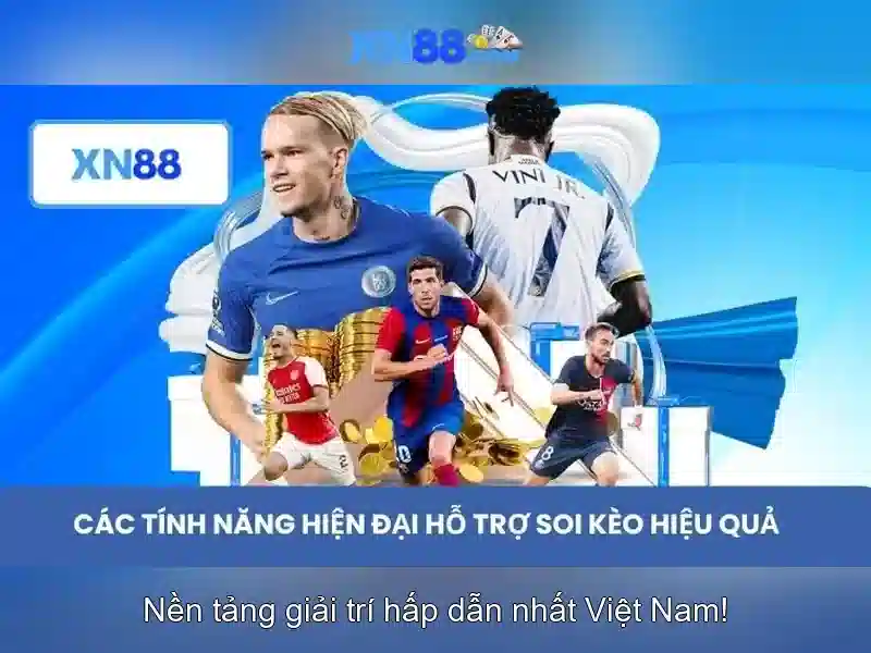 Hỗ trợ khách hàng và dịch vụ