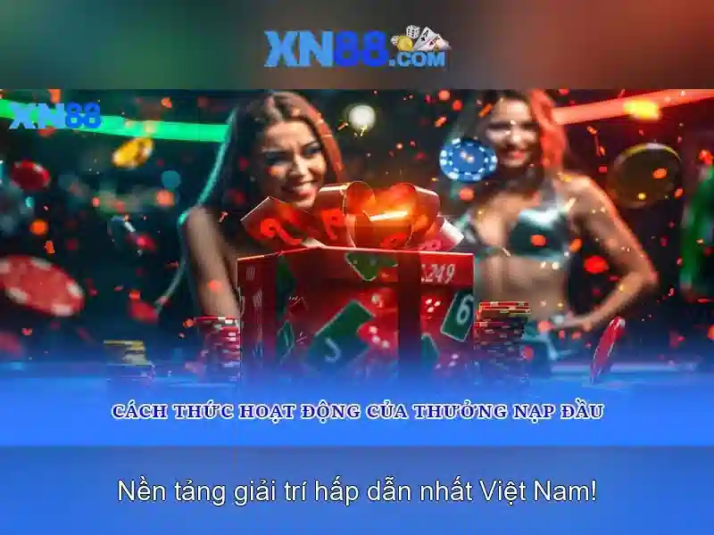 Giới thiệu xn88 và những điều cần biết