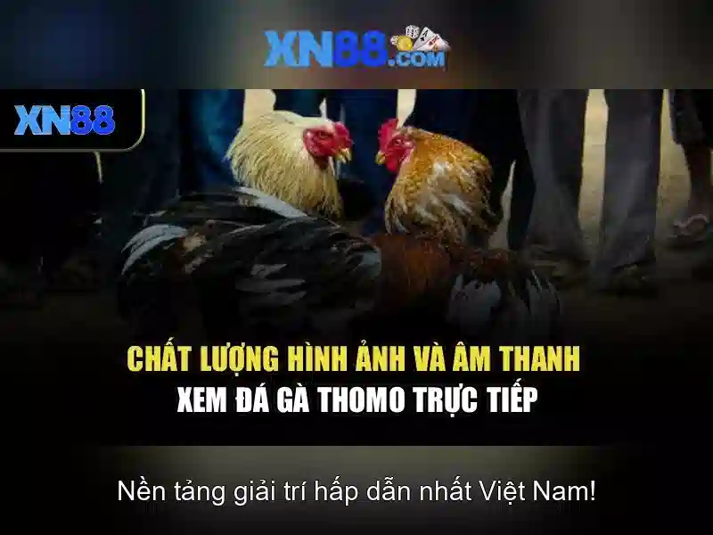 Nguồn gốc và đáng tin cậy