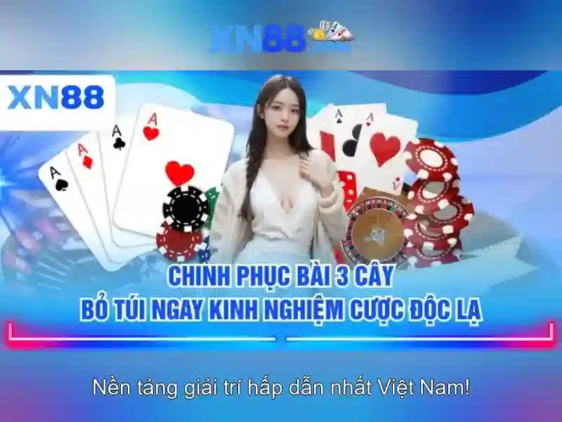 Lời kết
