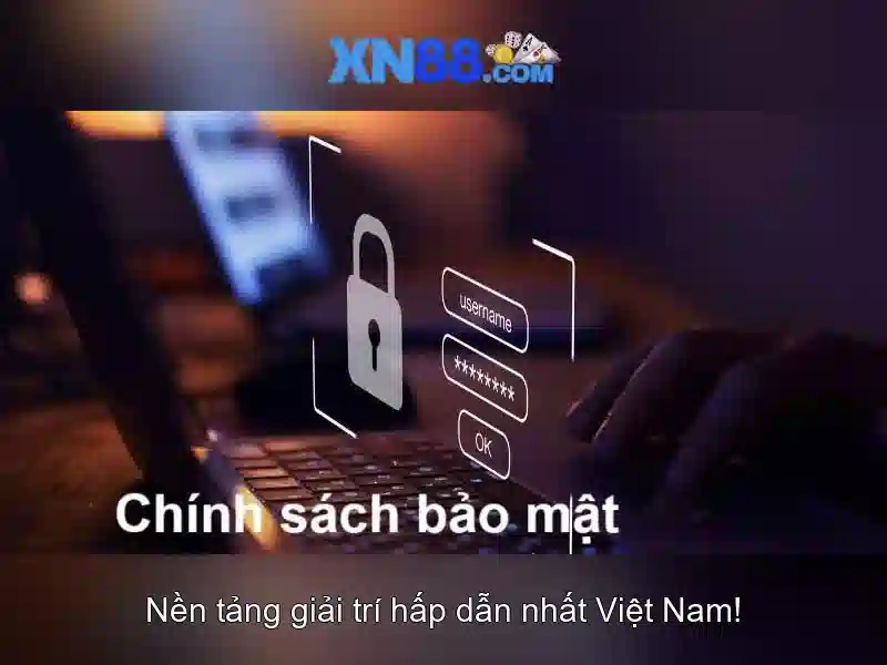 Kết luận và khuyến nghị
