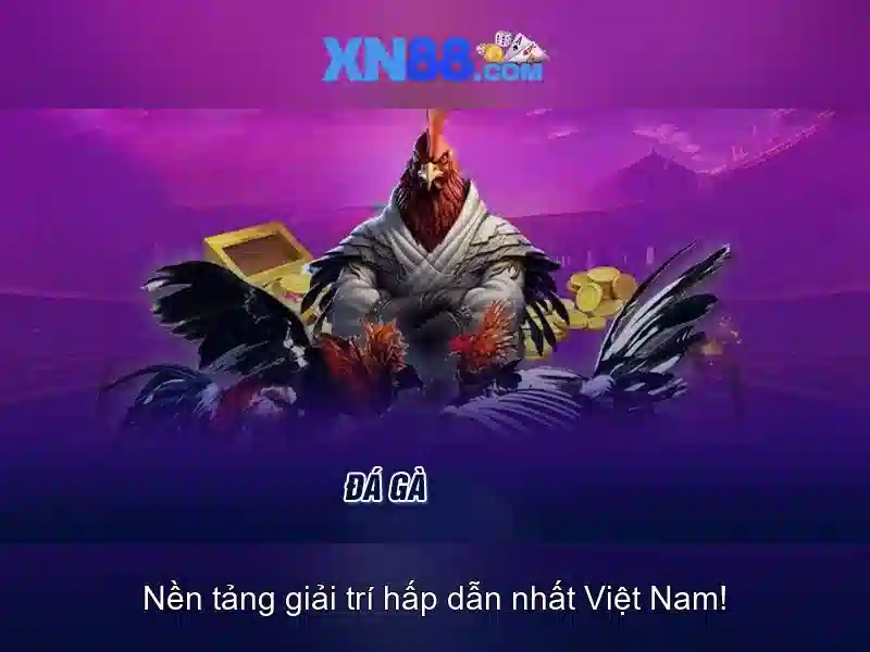 xn88: Nền tảng trực tuyến và nhận xét