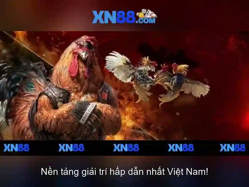 Đánh giá và tương lai