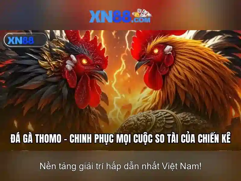 Các tính năng chính