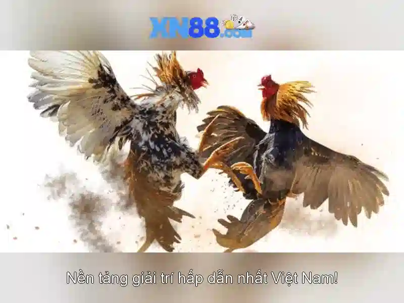 Tỷ lệ cược động AI