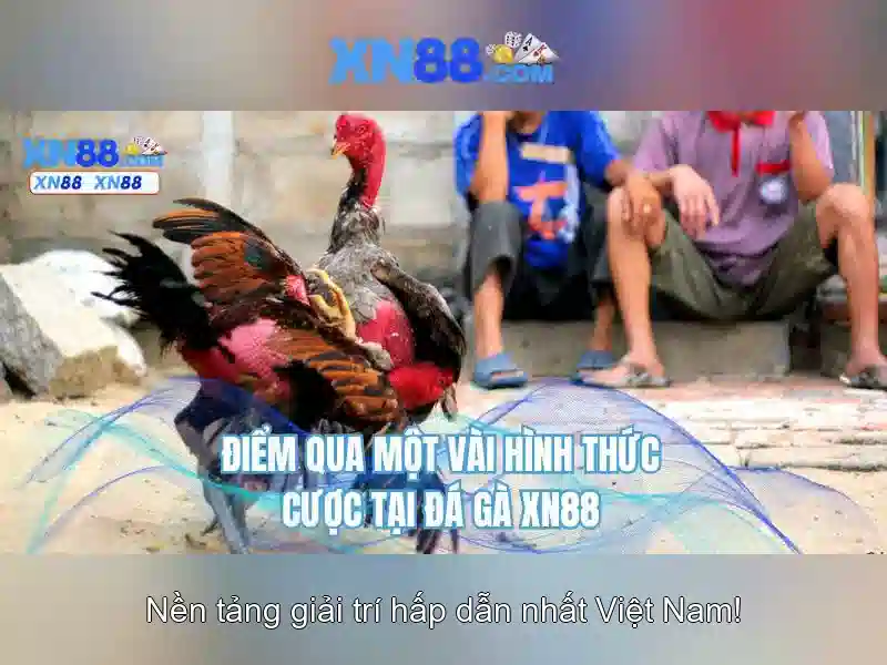 Hướng dẫn tham gia Hướng dẫn tham gia