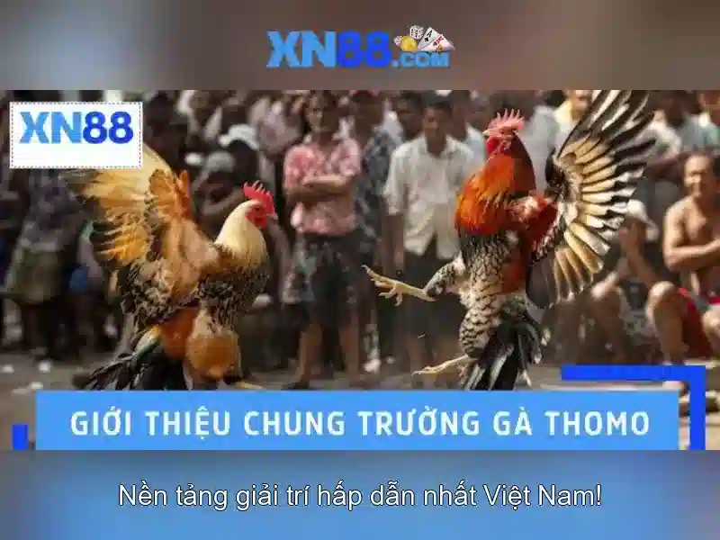 xn88: Nền tảng trò chơi trực tuyến nổi bật