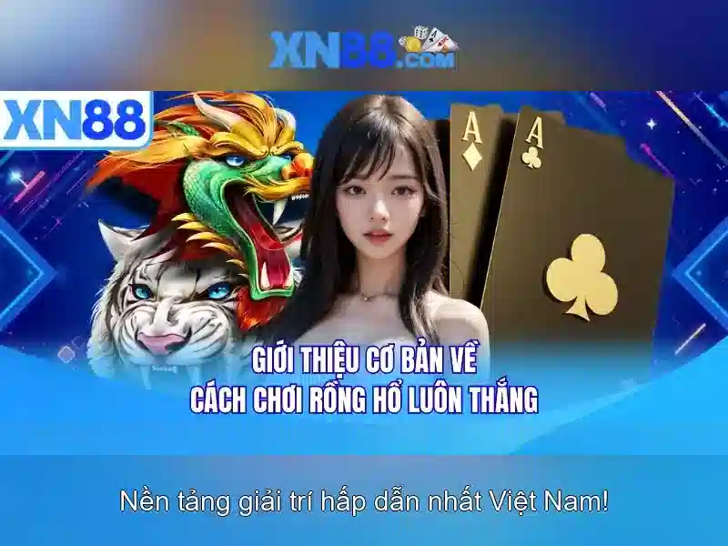 Nxn88: Tổng quan về nền tảng trò chơi trực tuyến