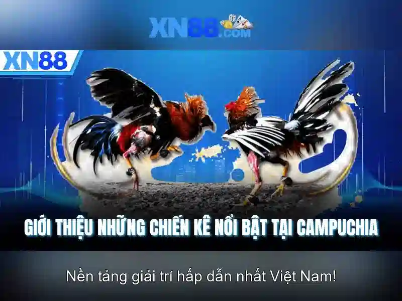 xn88 - Nền tảng cá cược trực tuyến