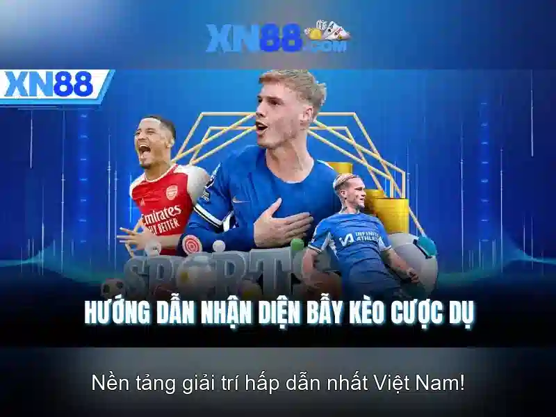 Nền tảng và dịch vụ