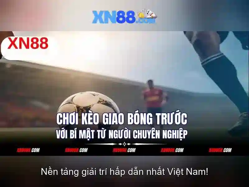 Các tính năng nổi bật