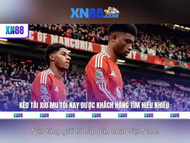 xn88: Đánh giá và hướng dẫn tham gia an toàn