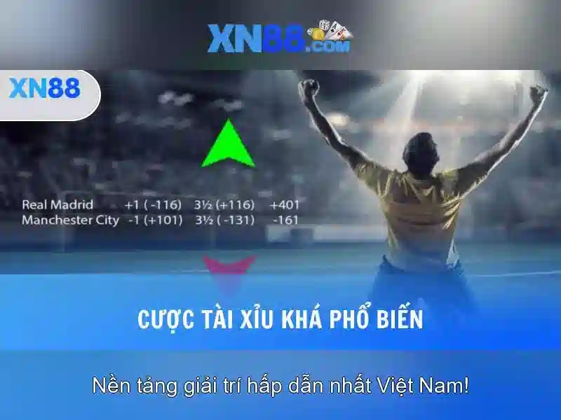 Nền tảng và lịch sử