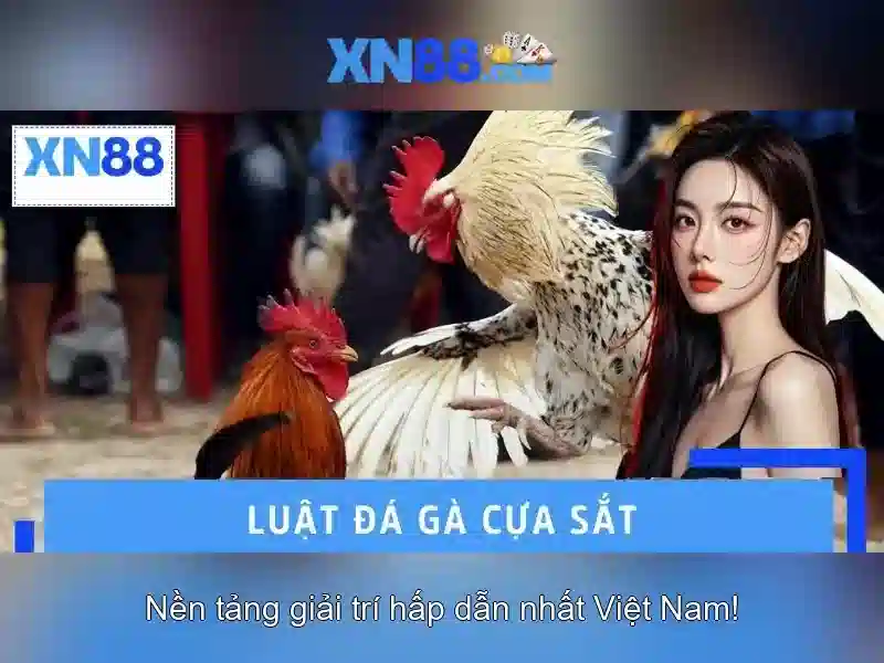 Mẹo chơi bắn cá 3 cây dễ ăn tiền nhà cái