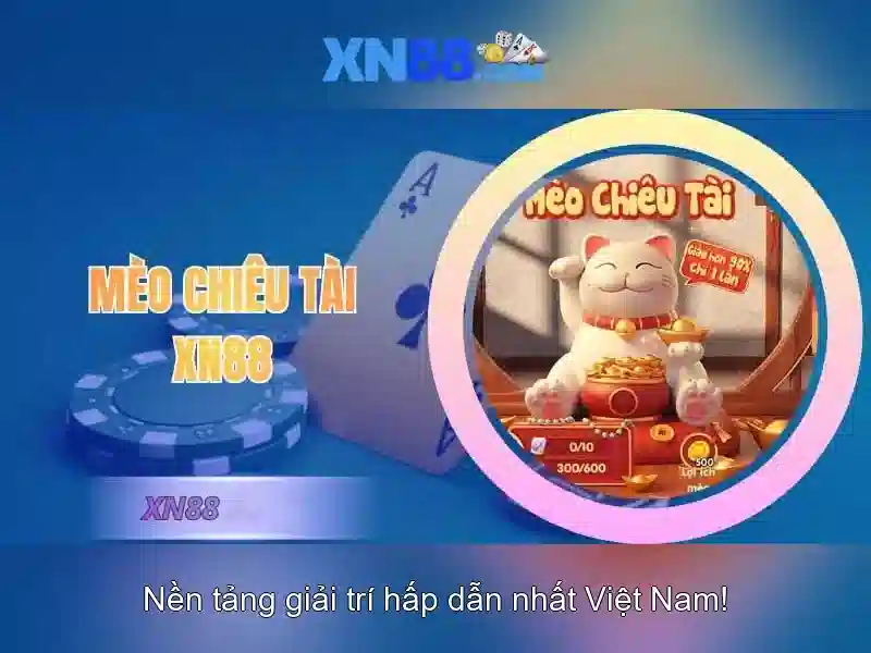 Lưu ý và lời khuyên cho người mới Lưu ý và lời khuyên cho người mới