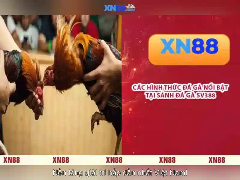 xn88: Nền tảng và tiềm năng