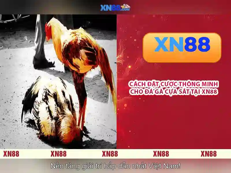 Đặc điểm nổi bật của xn88
