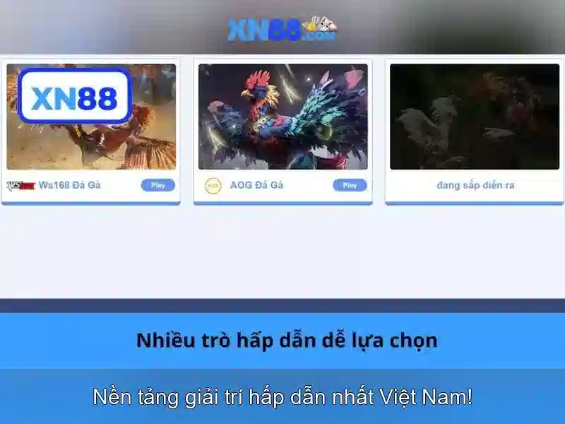 Lịch sử và nguồn gốc
