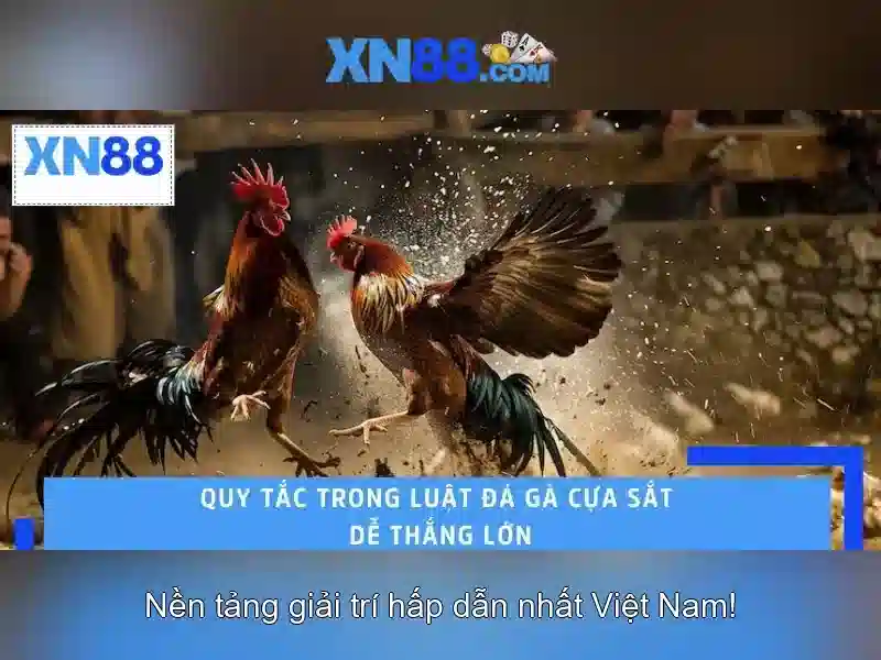 Có đáng tin cậy không? Có đáng tin cậy không?