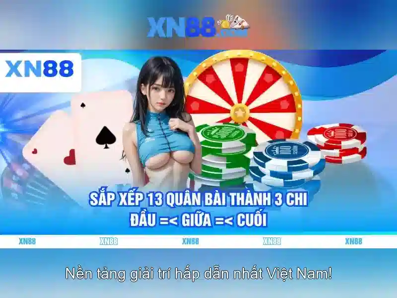Nền tảng và dịch vụ