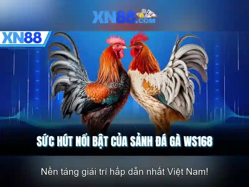 Giới thiệu về xn88 Giới thiệu về xn88